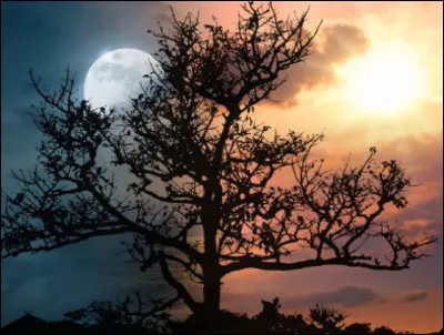 Tu en as marre que les autres te consid&egrave;rent comme...