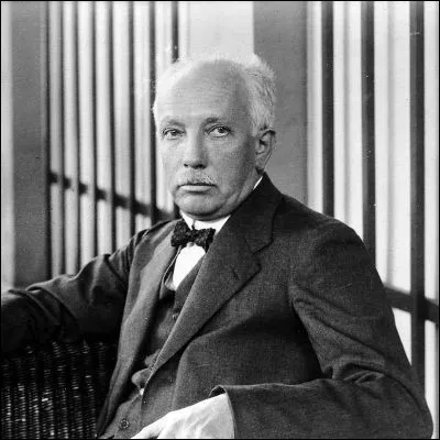 Quel support musical a eu pour premier album "Une symphonie alpestre" de Richard Strauss ?