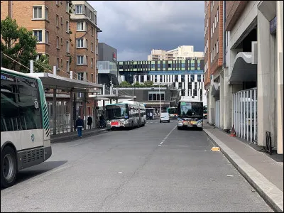 Quelle plante est le symbole de l'humilit&eacute; ?