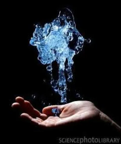 Coche ce qui est vrai : (2)