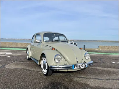 En raison de ses formes tr&egrave;s rondes, elle est souvent surnomm&eacute;e le "scarab&eacute;e" dans diff&eacute;rentes langues et on l'appelle "Maggiolino"(hanneton) en Italie, et "Coccinelle" en France : c'est une ...