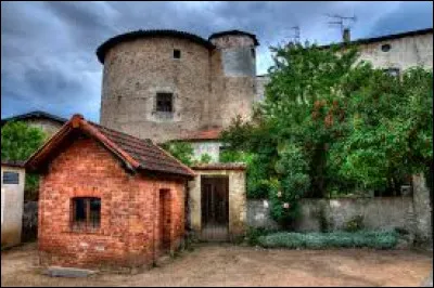 Nous faisons une halte devant le prieur&eacute; clunisien de Ris. Village de l'arrondissement de Thiers, &agrave; la confluence de la Dore et de l'Allier, il se situe ...