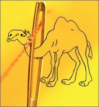 'Faire passer un chameau par le chas d'une aiguille' signifie :