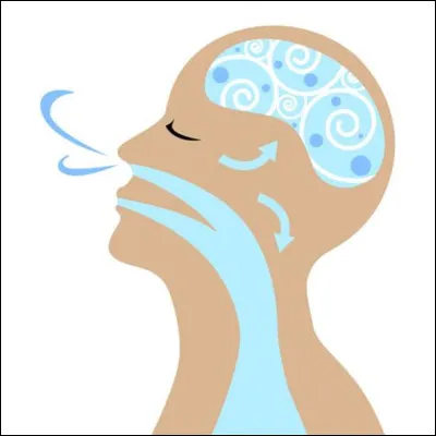 As-tu une bonne respiration ?
