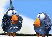 Quiz Le petit oiseau