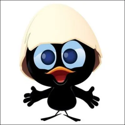 De quelle nationalit&eacute; est originaire Calimero le petit poussin noir ?