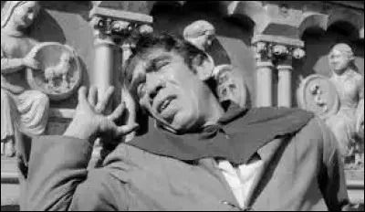 Quel est le r&ocirc;le de Quasimodo dans ''Notre-Dame de Paris'' ?