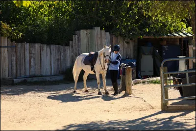 Est-ce que l�&eacute;quitation est un sport ?