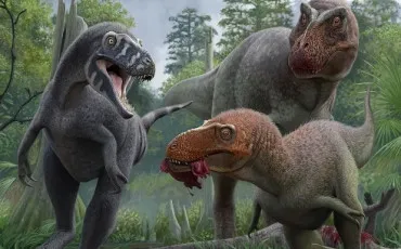 Quiz Test de personnalit�