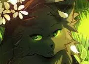 Quiz LGDC ~ Feuille de Houx