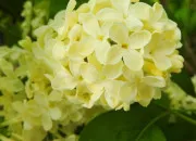 Quiz Le nom des couleurs en roumain !