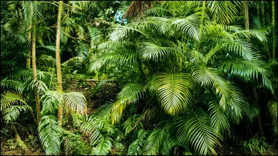Quel environnement aimes-tu le plus ?