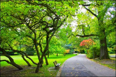 Ta couleur pr&eacute;f&eacute;r&eacute;e, c'est...