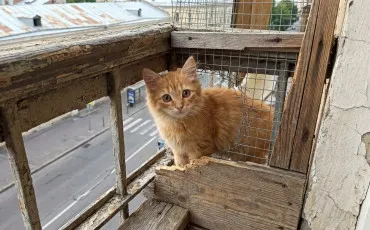 Quiz Test de personnalit�