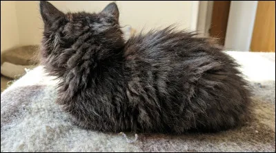 Quel est ton caract&egrave;re ?