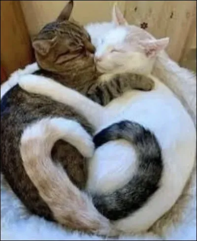 Es tu d�un temp&eacute;rament c&acirc;lin ?