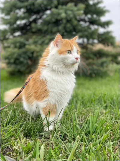 A quel mois es tu n&eacute;e ?