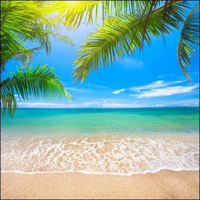 Quelle est la couleur de tes yeux ?