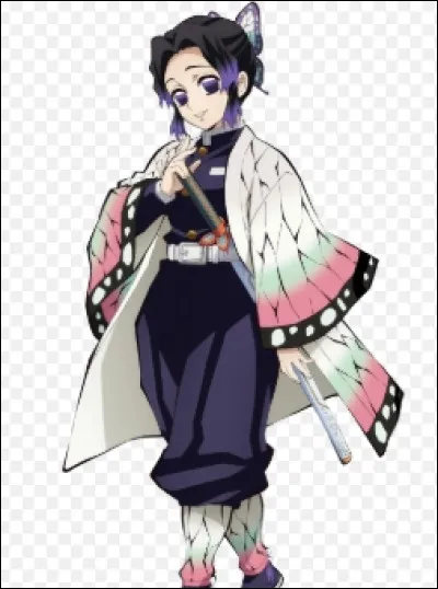 Quel est le probl&egrave;me de Shinobu ?