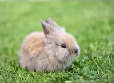 Quelle est ta s&eacute;rie pr&eacute;f&eacute;r&eacute;e ? (Suite)