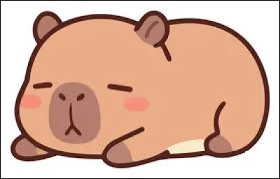 Quel est ton animal pr&eacute;f&eacute;r&eacute; ?