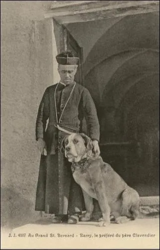 Saint Bernard