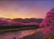 Test Quel matcha es-tu ?