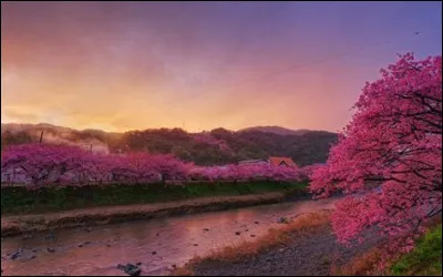 Quelle saison pr&eacute;f&egrave;res-tu ?