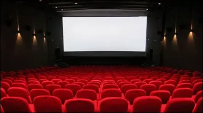 Niveau cin&eacute;ma, tu pr&eacute;f&egrave;res...