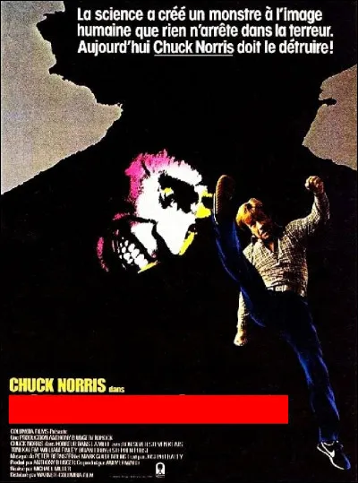 Cette affiche est celle du film...