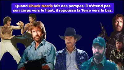 Laquelle de ces informations &agrave; propos de Chuck Norris est vraie ?
