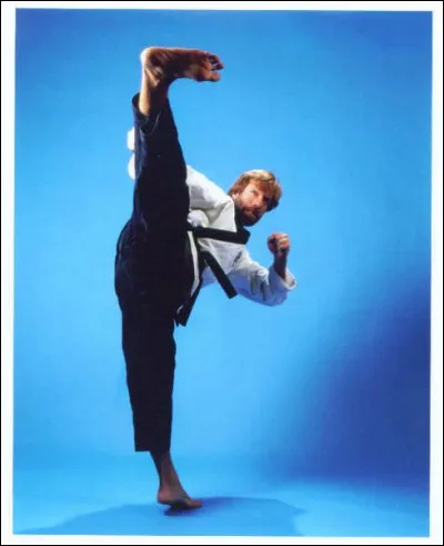 Lequel de ces arts-martiaux a-t-il appris &agrave; l'arm&eacute;e ?