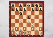 Quiz Ouvertures aux �checs