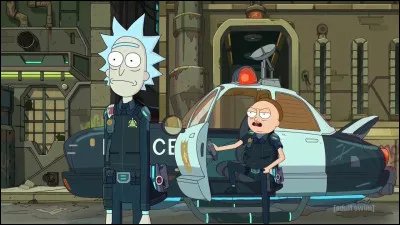 Que repr&eacute;sente la Citadelle ?