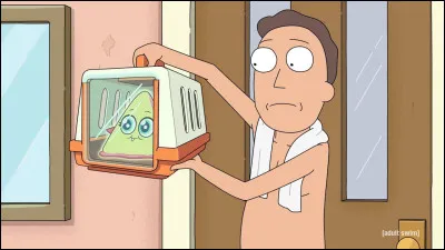 Qui est le p&egrave;re de Morty ?