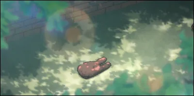 Quelle image aimes-tu ?