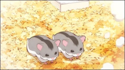 Quel animal aimes-tu entre ceux-l&agrave; ?