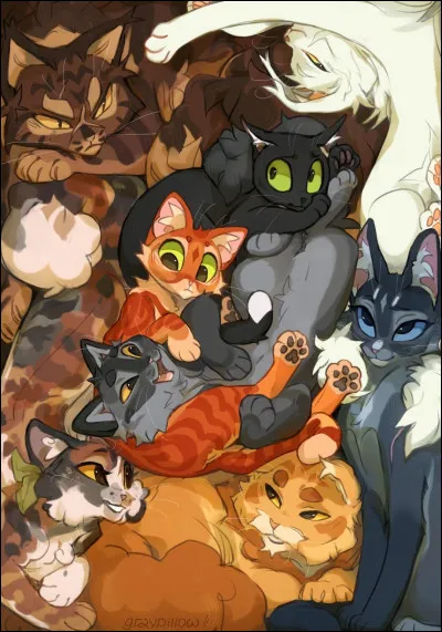 Quels sont les noms de leurs premiers chatons ?