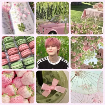 Suivant, un moodbard de Sunoo. Peux-tu me dire &agrave; quel groupe il appartient ?