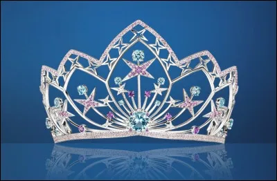 2014 - Qui remporte l'&eacute;lection Miss France, le 6 d&eacute;cembre au Z&eacute;nith d'Orl&eacute;ans ?