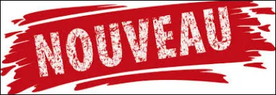 2004 - Quelle nouveaut&eacute; fait son apparition en France ?