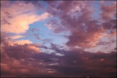 Quel est ton moment pr&eacute;f&eacute;r&eacute; de la journ&eacute;e ?