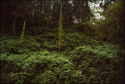 Quelle est ta taille ?