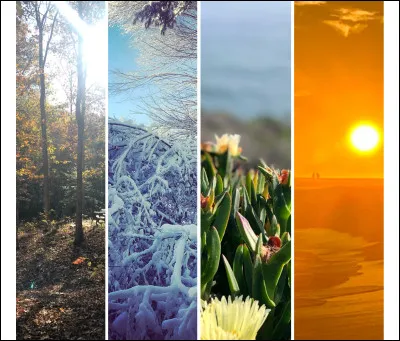 Quelle est ta saison pr&eacute;f&eacute;r&eacute;e ?