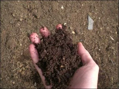 Comment appelle t-on la matire qui tait autrefois une feuille morte, tombe sur le sol , puis transforme en terre ?