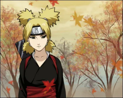 Qui finira en couple avec Temari ?