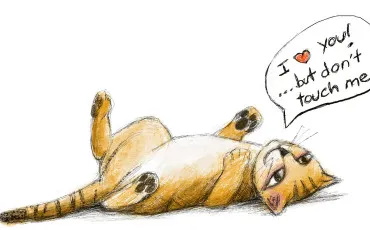 Quiz Litt�rature, po�sie