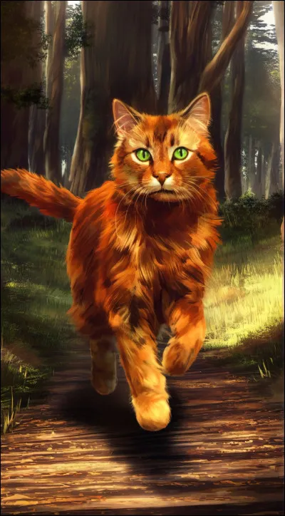 Quel est son compagnon ?