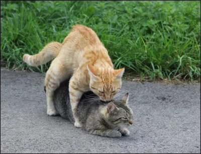 Tu pr&eacute;f&egrave;res que ton premier nom soit...