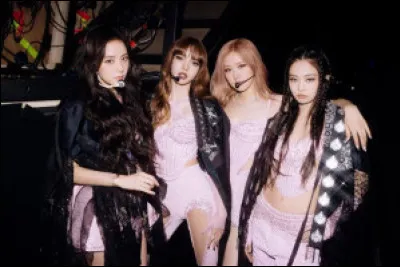 &Agrave; quel groupe appartiennent-elles ?